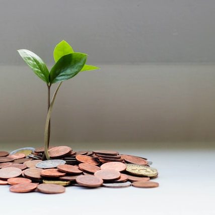 Small plant sprouting out of a pile of coins Photo by micheile henderson on Unsplash